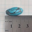 画像5: 天然ターコイズ ビーズd 21mm　非染め (5)