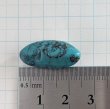 画像5: 天然ターコイズ ビーズb 23mm　非染め (5)