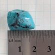 画像7: 天然ターコイズ ビーズa18mm　非染め (7)